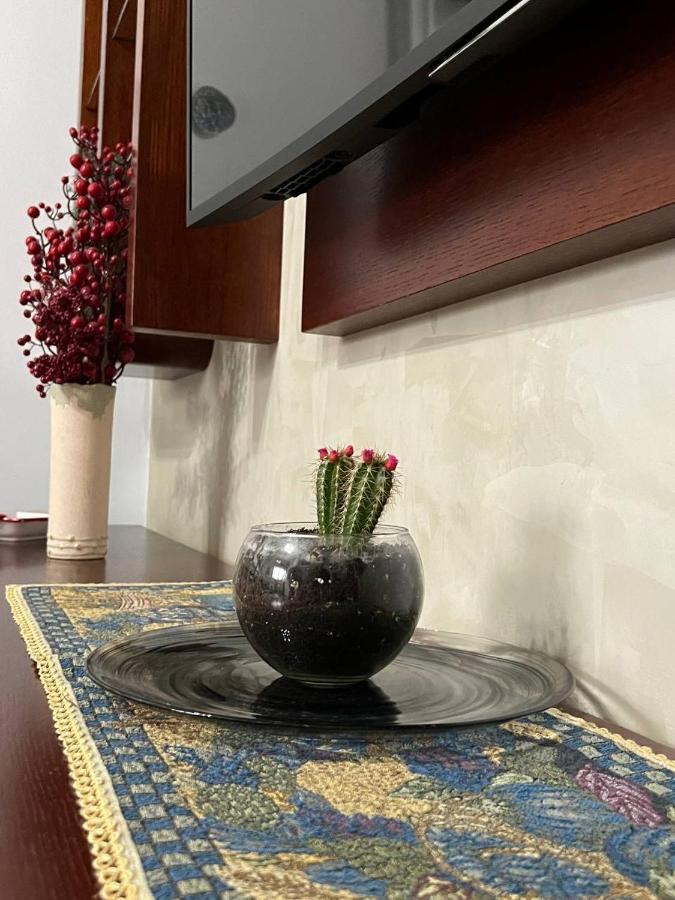 Апартаменты Cozy Nest Ledi Тирана Экстерьер фото